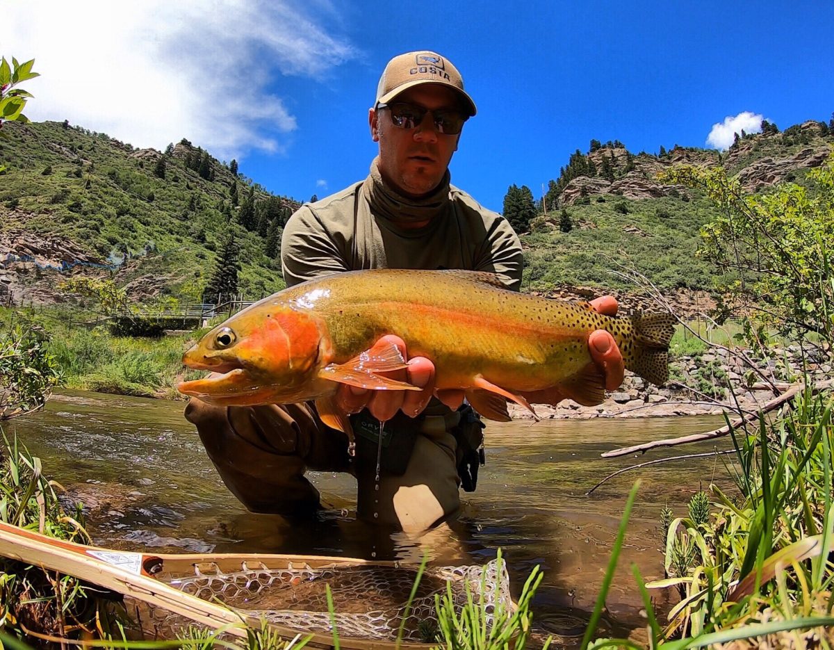 COLORADO FISH SPECIES Flyseekers